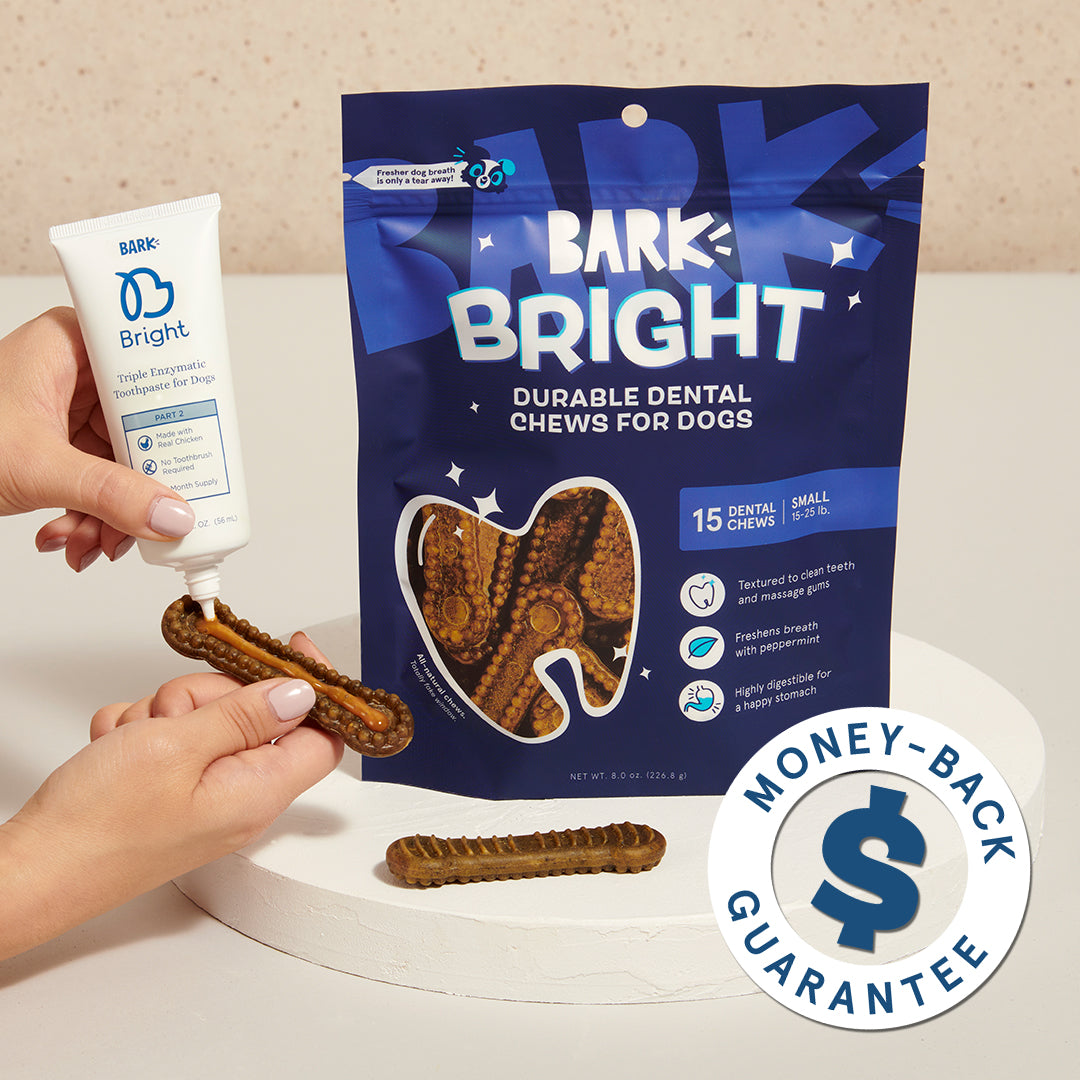 Kit dental «Bright Durable», 15 golosinas masticables + pasta de dientes