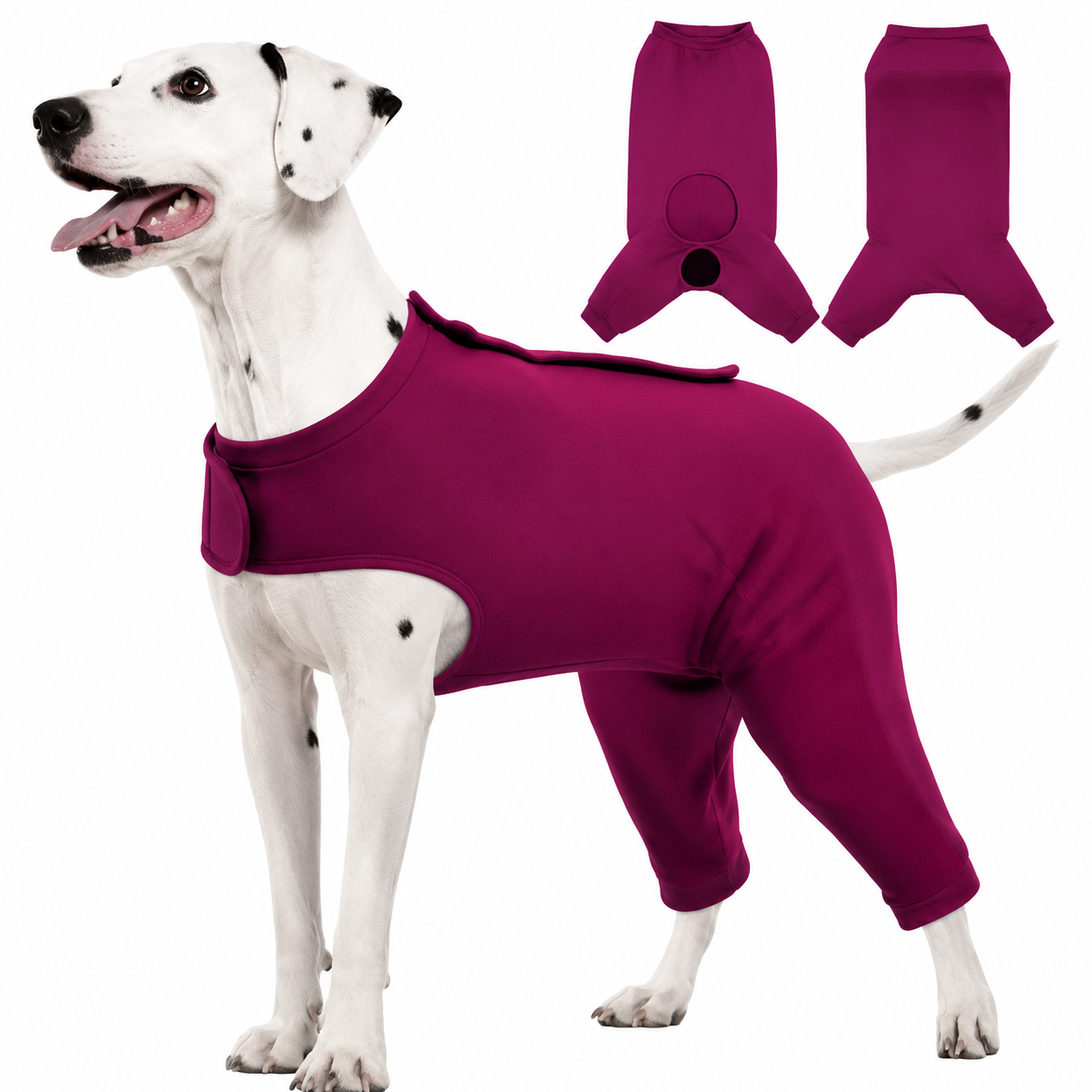 Body para perros