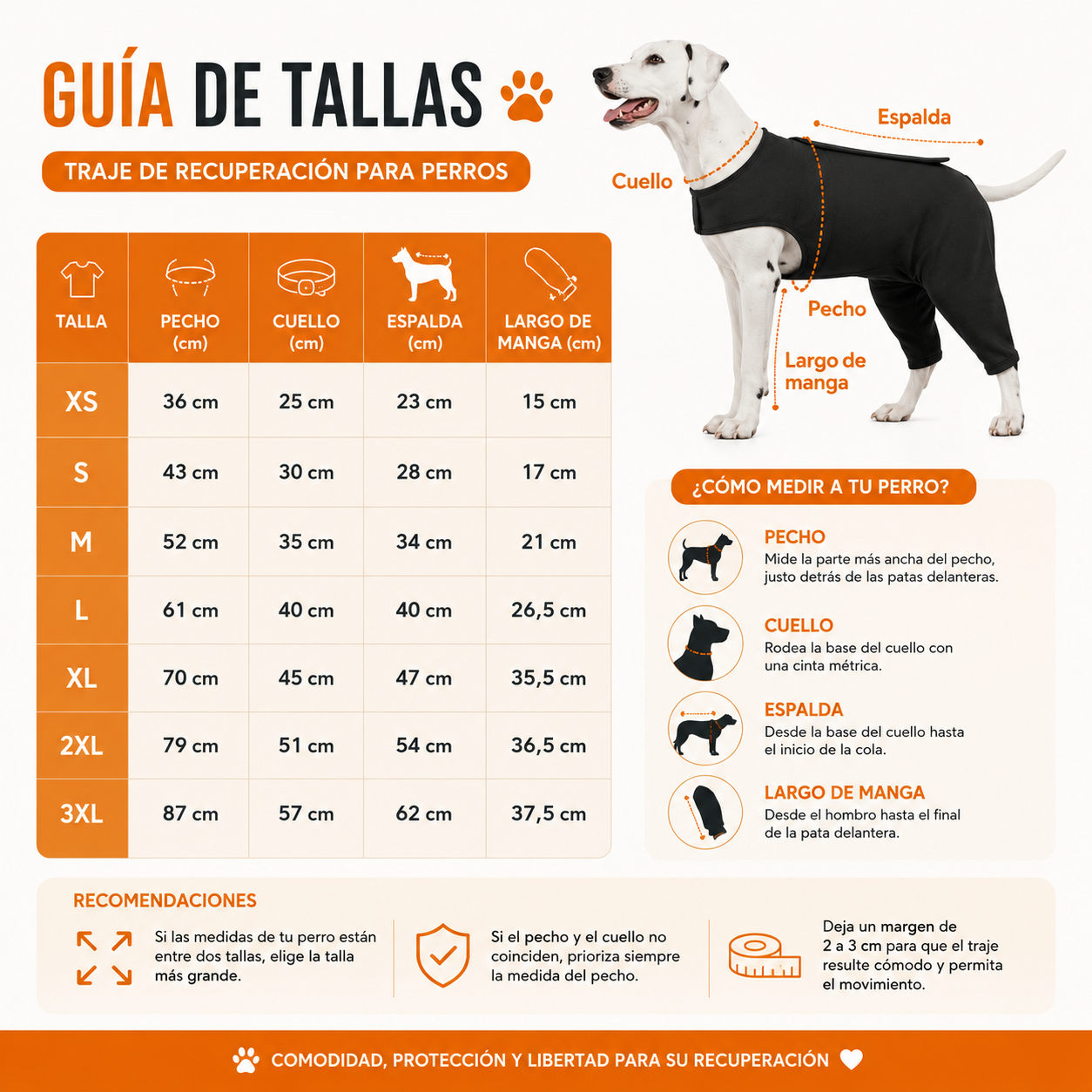 Body para perros