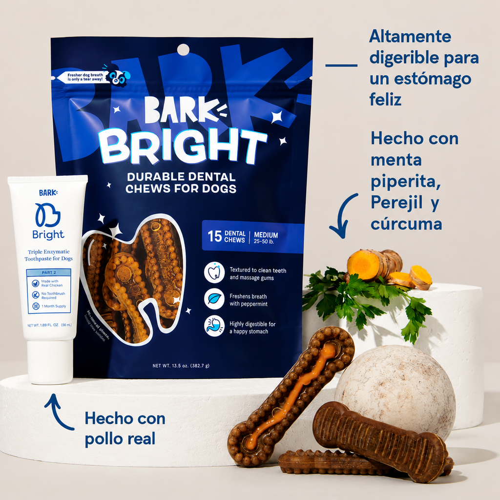 Kit dental «Bright Durable», 15 golosinas masticables + pasta de dientes