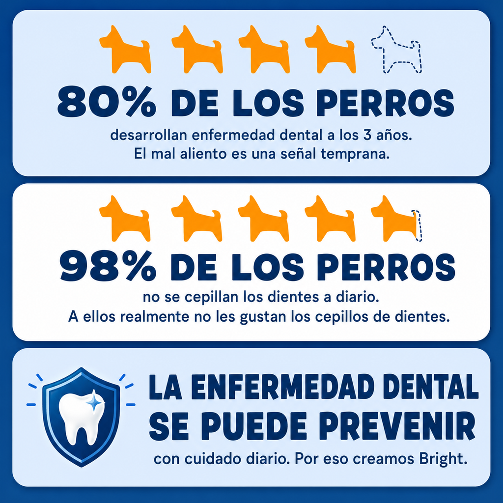 Kit dental «Bright Durable», 15 golosinas masticables + pasta de dientes