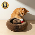 CatPlay 360