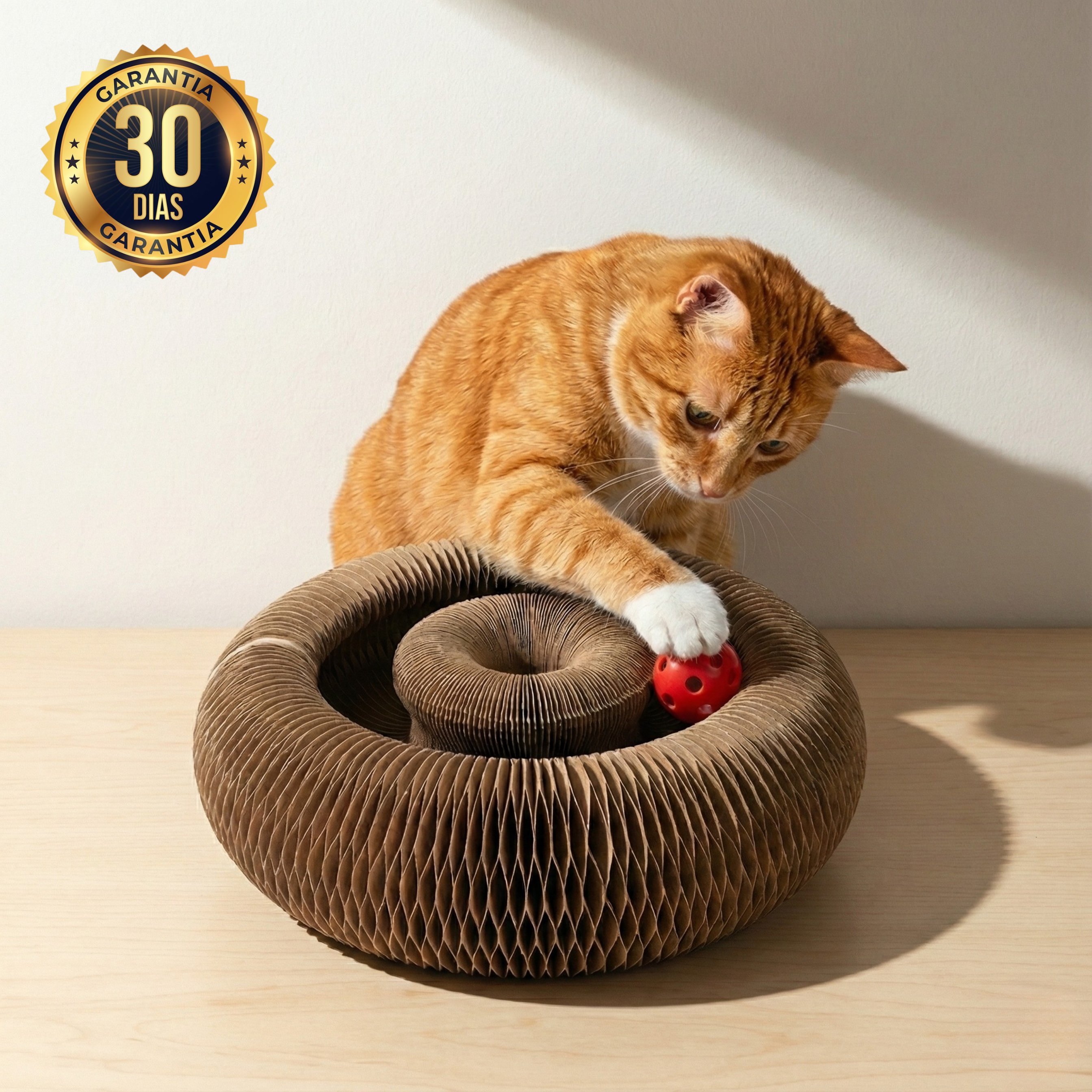 CatPlay 360