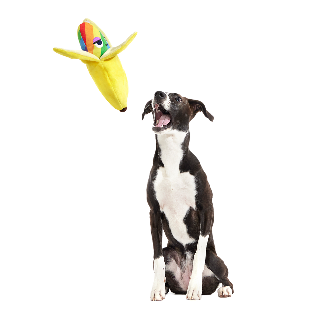 Juguete de peluche para perros «Top Banana» de varias piezas + enriquecimiento