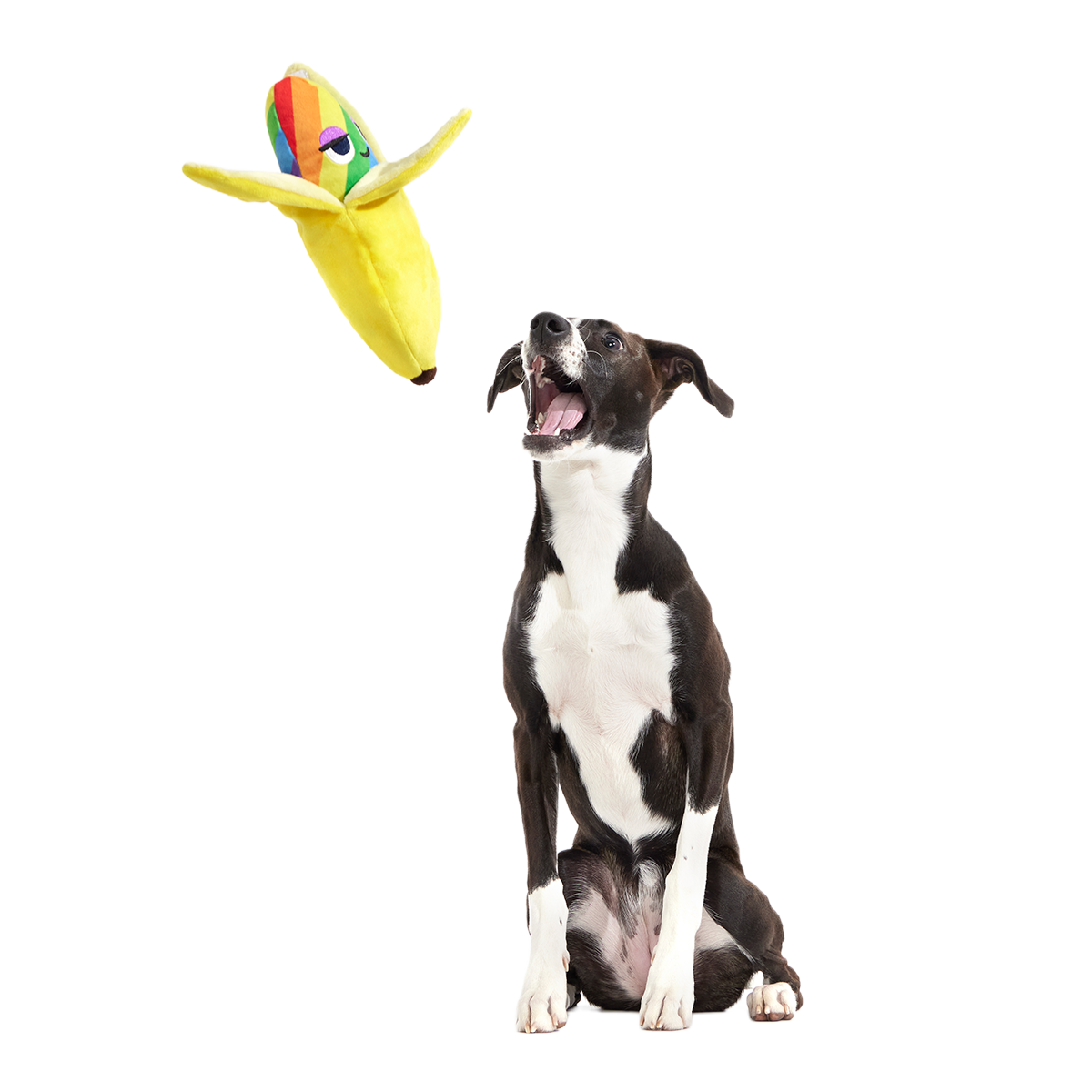Juguete de peluche para perros «Top Banana» de varias piezas + enriquecimiento