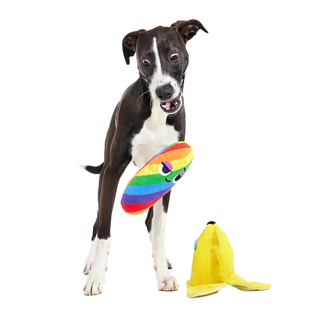 Juguete de peluche para perros «Top Banana» de varias piezas + enriquecimiento