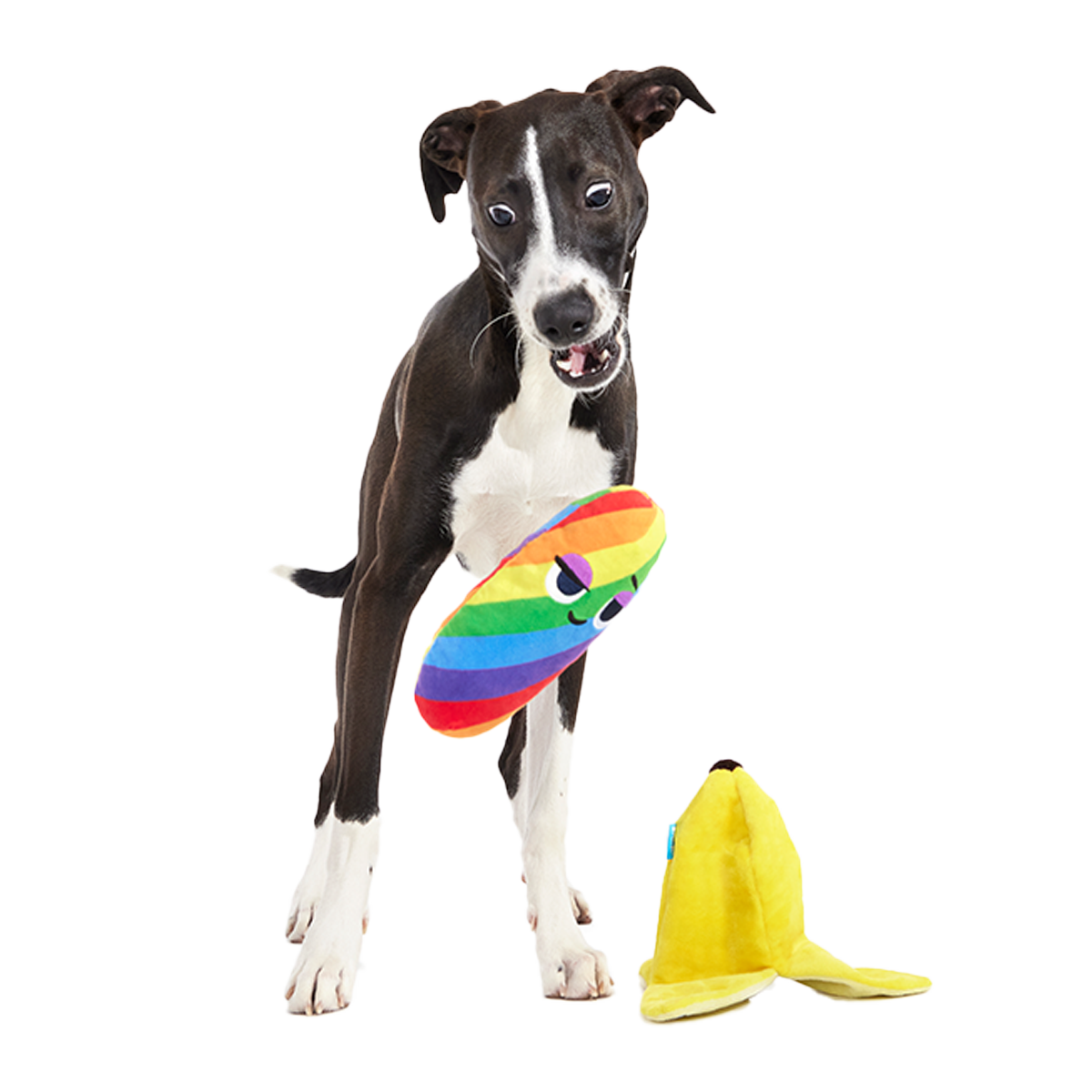 Juguete de peluche para perros «Top Banana» de varias piezas + enriquecimiento
