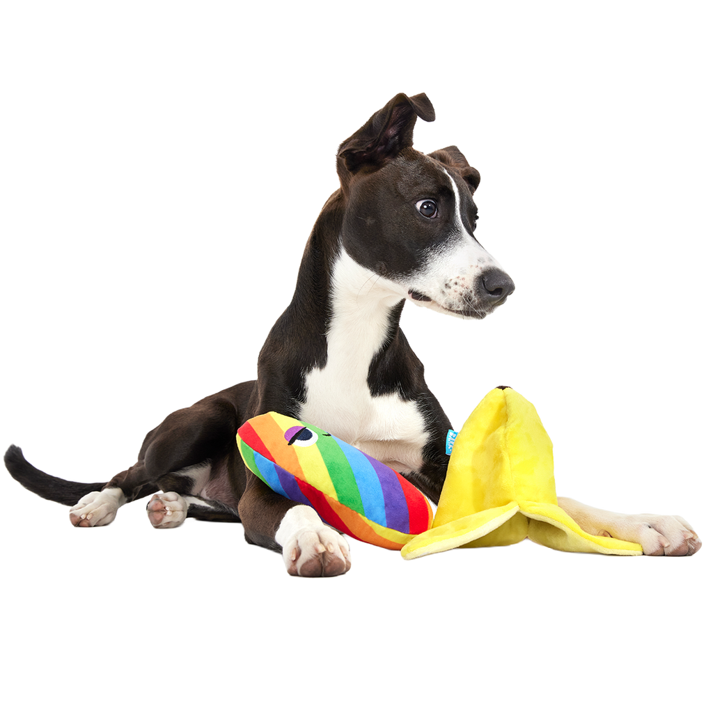 Juguete de peluche para perros «Top Banana» de varias piezas + enriquecimiento