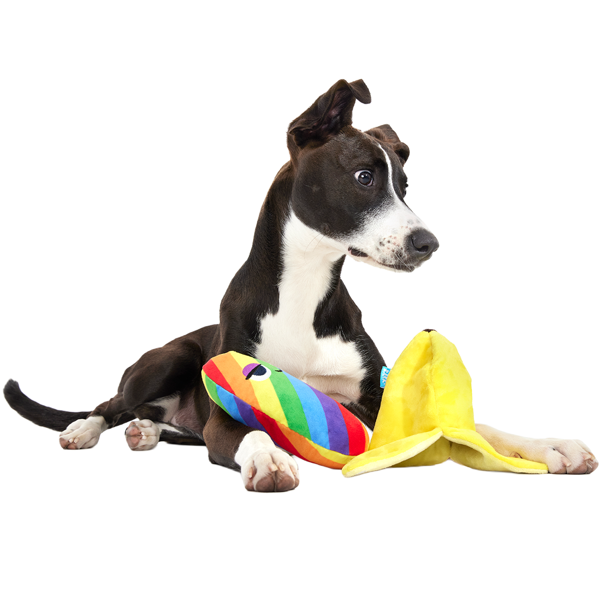 Juguete de peluche para perros «Top Banana» de varias piezas + enriquecimiento