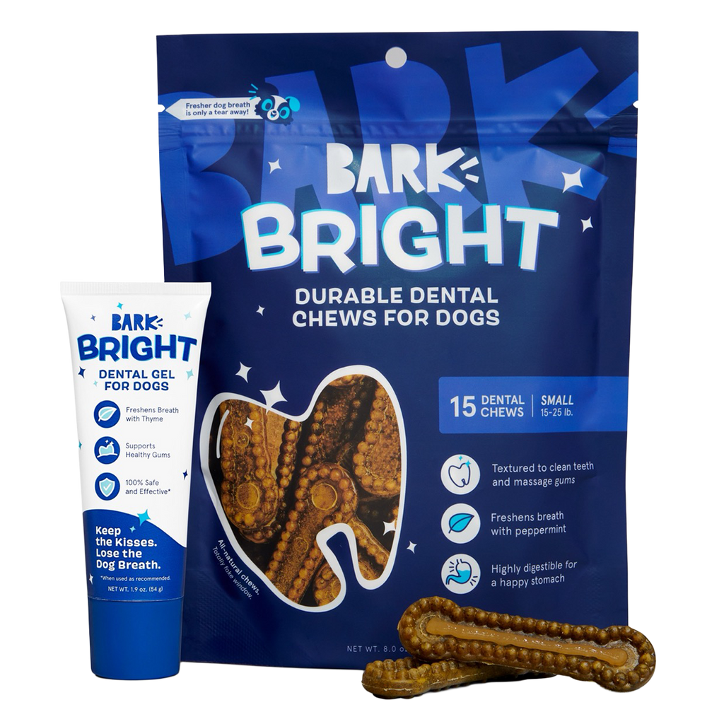 Kit dental «Bright Durable», 15 golosinas masticables + pasta de dientes